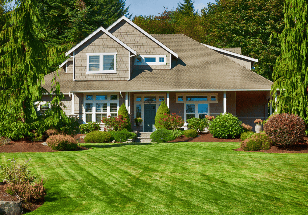 Landscaper For Homes