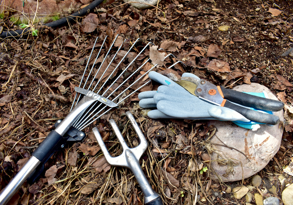 Landscaping clean-up