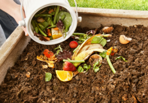 Compost