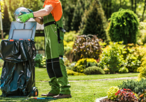 Tidy-up Garden